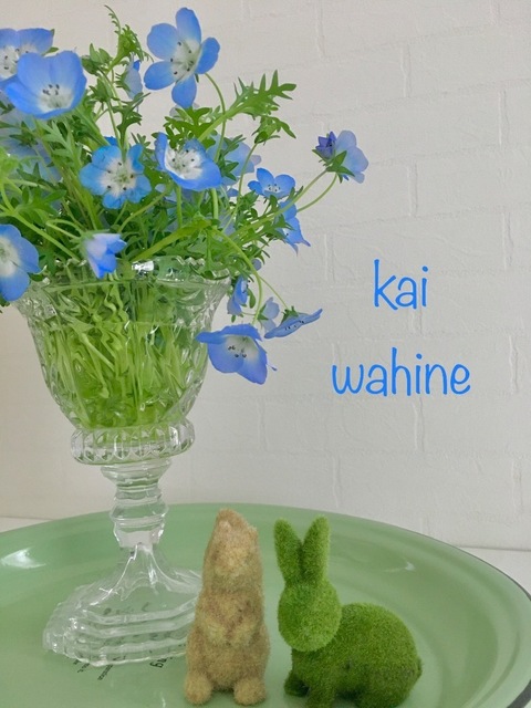 ネモフィラ満開 フラワーアレンジメント教室 Kai Wahine